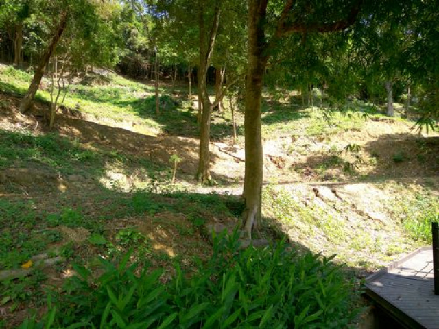 三灣悠閒山坡地 +大坪數建地