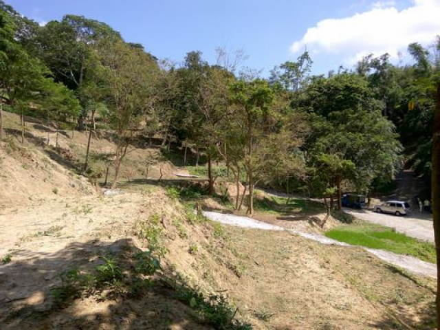 三灣悠閒山坡地 +大坪數建地