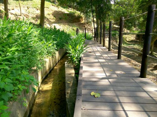 三灣悠閒山坡地 +大坪數建地