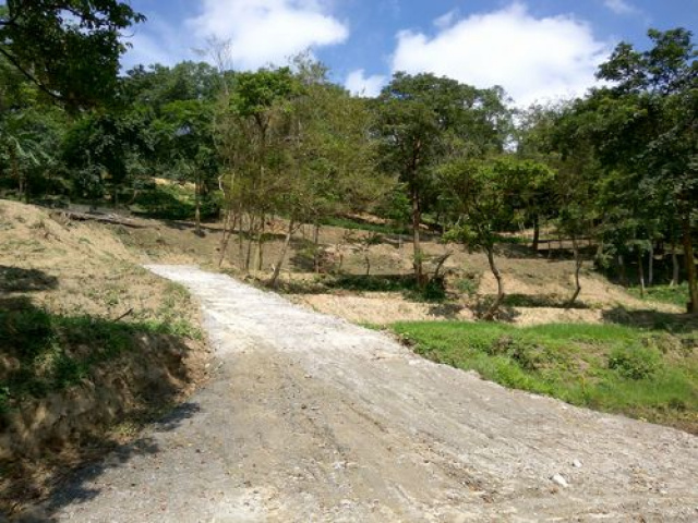 三灣悠閒山坡地 +大坪數建地