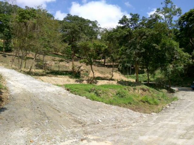 三灣悠閒山坡地 +大坪數建地