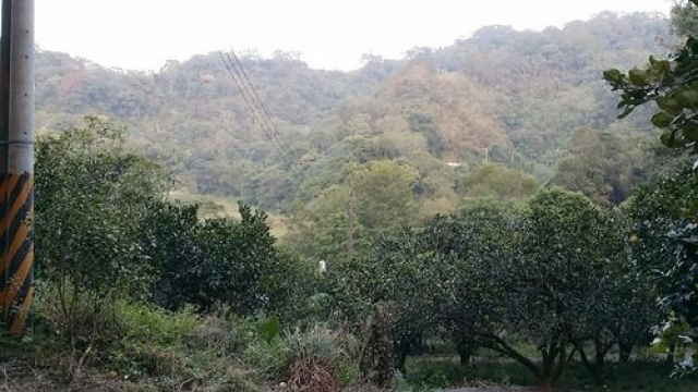 三灣投資山坡休閒地*-*三灣成交快房屋