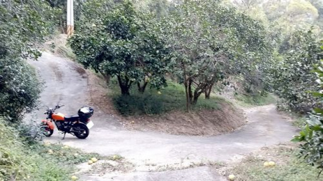 三灣投資山坡休閒地*-*三灣成交快房屋