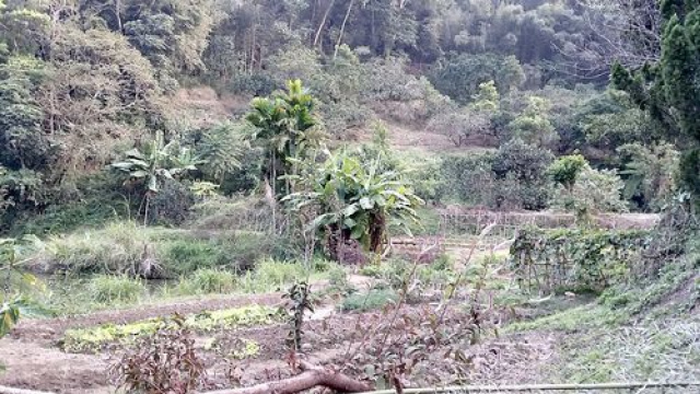 三灣投資山坡休閒地*-*三灣成交快房屋