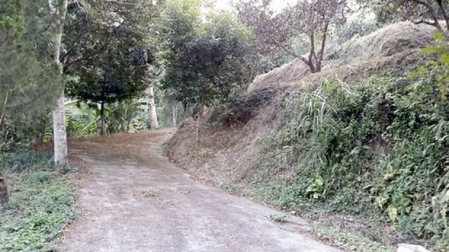 三灣投資山坡休閒地*-*三灣成交快房屋