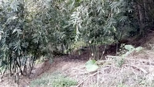 三灣投資山坡休閒地*-*三灣成交快房屋