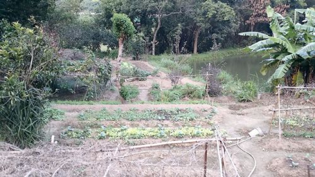三灣投資山坡休閒地*-*三灣成交快房屋