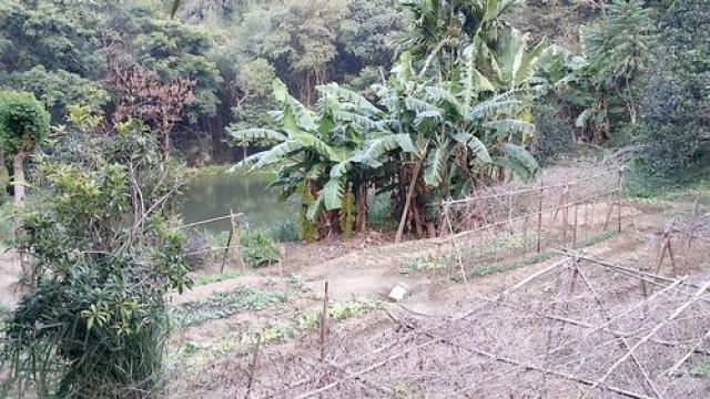 三灣投資山坡休閒地*-*三灣成交快房屋