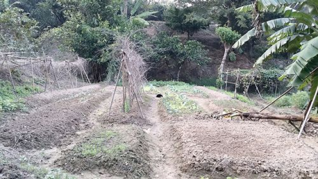 三灣投資山坡休閒地*-*三灣成交快房屋