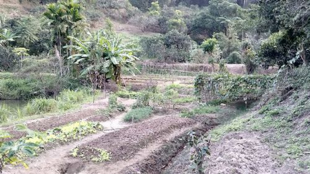 三灣投資山坡休閒地*-*三灣成交快房屋