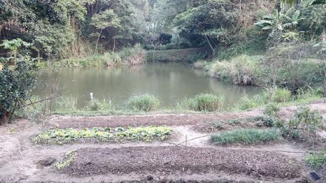 三灣投資山坡休閒地*-*三灣成交快房屋