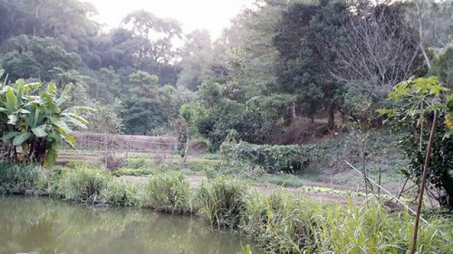 三灣投資山坡休閒地*-*三灣成交快房屋