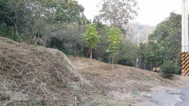 三灣投資山坡休閒地*-*三灣成交快房屋