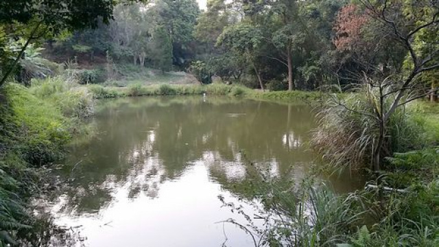 三灣投資山坡休閒地*-*三灣成交快房屋