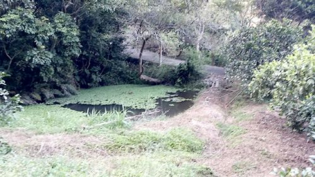 三灣投資山坡休閒地*-*三灣成交快房屋