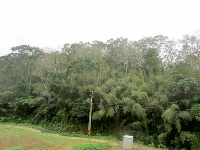 三灣便宜休閒山坡地*-*低於公告現值