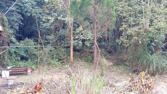三灣便宜休閒山坡地*-*低於公告現值