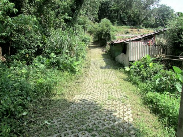 農莊豪宅別墅會館*-*建地+農地腹地大