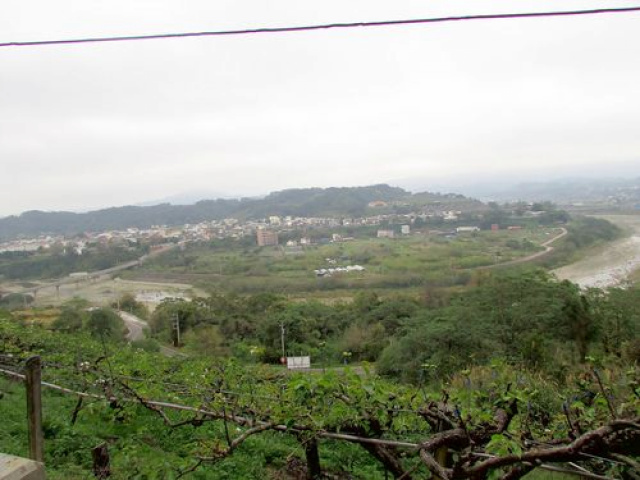 三灣景觀休閒水梨園*-*視野超級棒