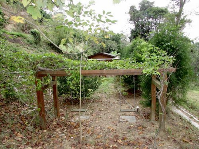 湖光小木屋休閒美地*-*造橋土地房屋買賣