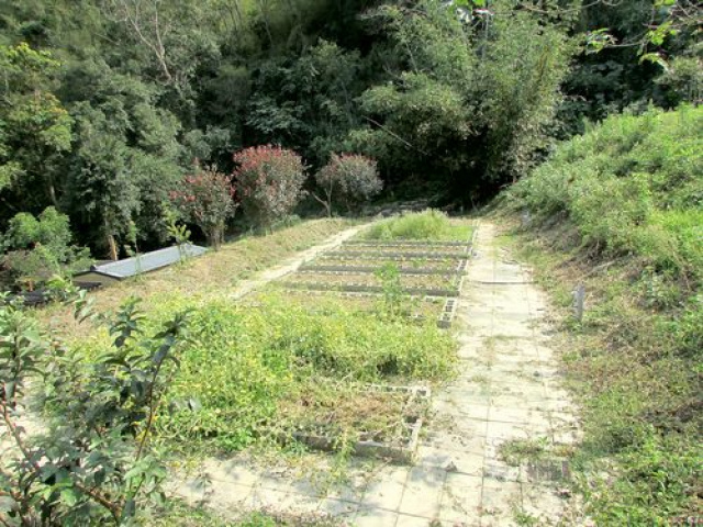 三灣永和山漂亮休閒地*-*現成貨櫃屋一間水電都有