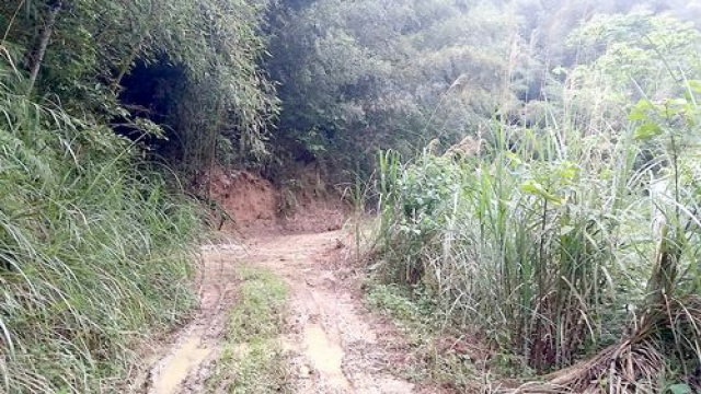 三灣便宜山坡林地*-*-頭份成交快房屋