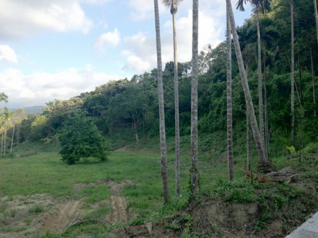 三灣漂亮農牧用地*-*成交快房屋*-*