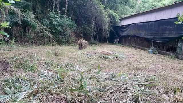 三灣神棹山休閒山坡地*-*成交快張先生
