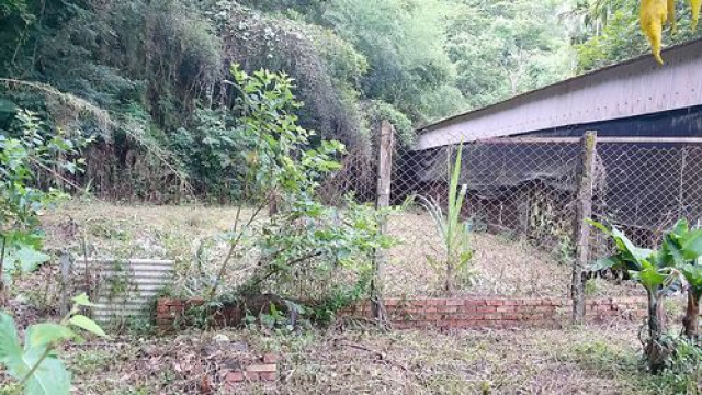 三灣神棹山休閒山坡地*-*成交快張先生