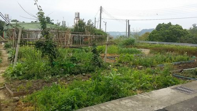 三灣建地+農地*-*鄰近市區*-*成交快