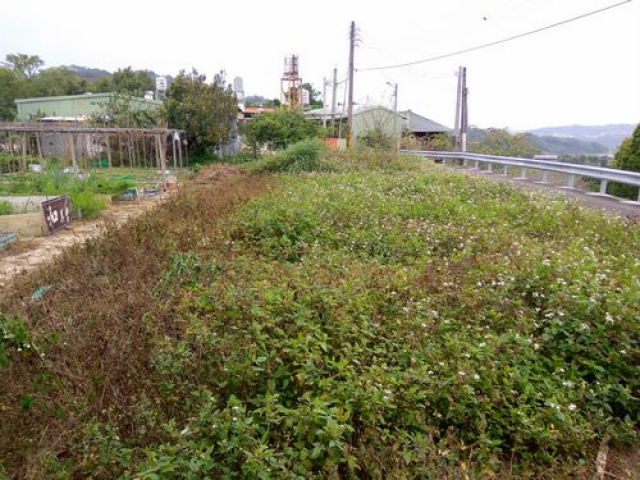 三灣建地+農地*-*鄰近市區*-*成交快