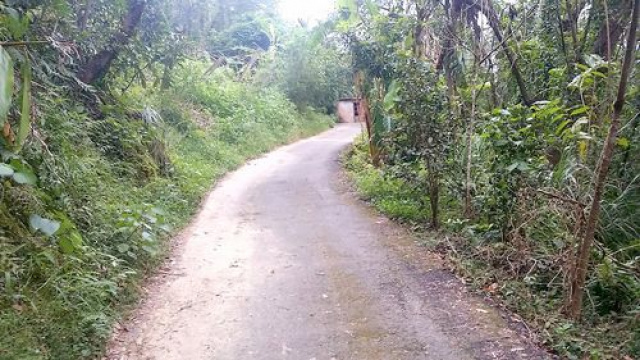 三灣坡塘背步道休閒地*-*便宜山坡地