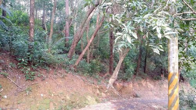 三灣坡塘背步道休閒地*-*便宜山坡地