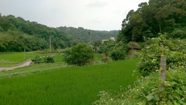 淡文湖鄉間農地*-*造橋便宜農地