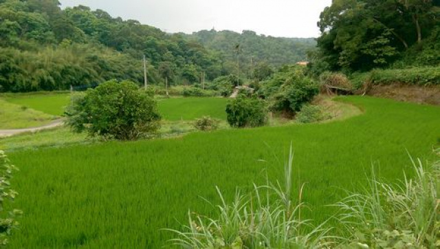 淡文湖鄉間農地*-*造橋便宜農地