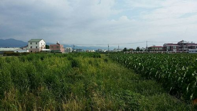 苗栗市配蓋農地*-*現成建照可蓋
