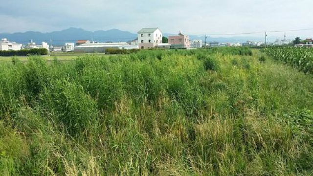 苗栗市配蓋農地*-*現成建照可蓋