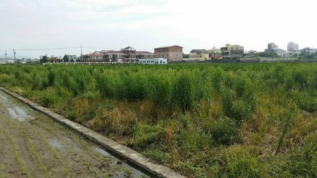 苗栗市配蓋農地*-*現成建照可蓋