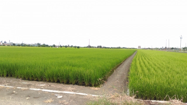 榮成紙廠附近4.5分農地