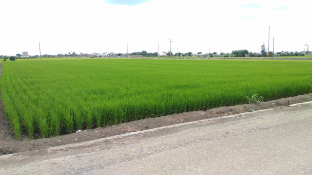 榮成紙廠附近4.5分農地