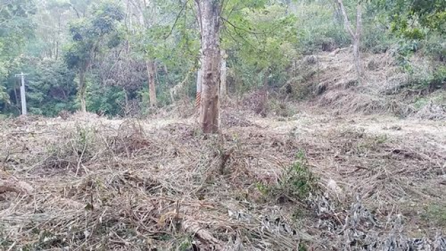 觀星漂亮休閒美地*-*南庄露營休閒美地海拔約500