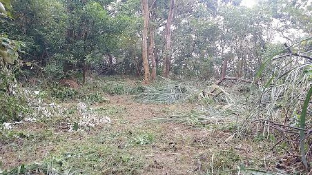 觀星漂亮休閒美地*-*南庄露營休閒美地海拔約500