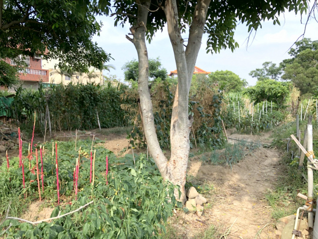 頭份興隆休閒美地*-*成交快房屋