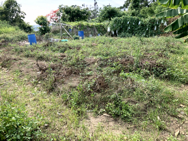 頭份興隆休閒美地*-*成交快房屋