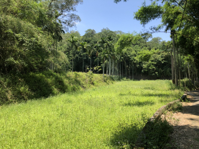 造橋休閒農牧用地+建地*-*頭份成交快房屋
