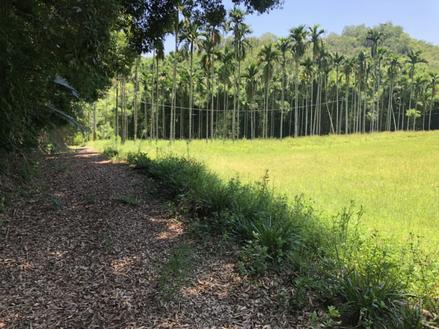 造橋休閒農牧用地+建地*-*頭份成交快房屋