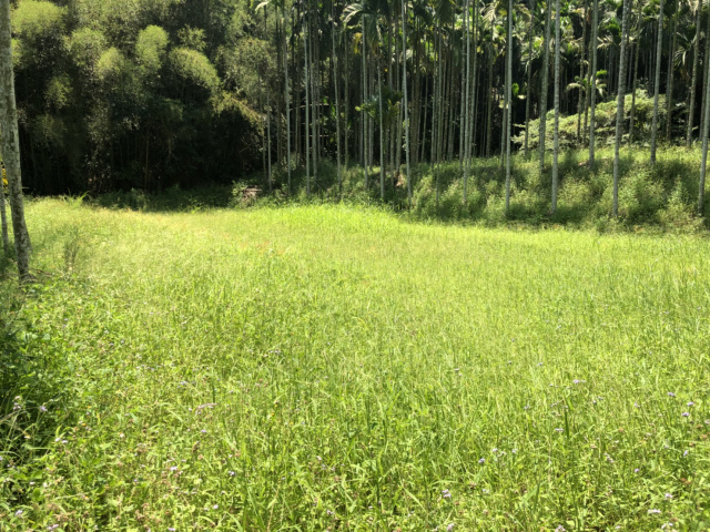 造橋休閒農牧用地+建地*-*頭份成交快房屋
