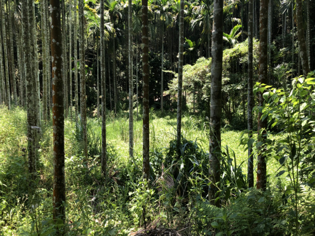 造橋休閒農牧用地+建地*-*頭份成交快房屋
