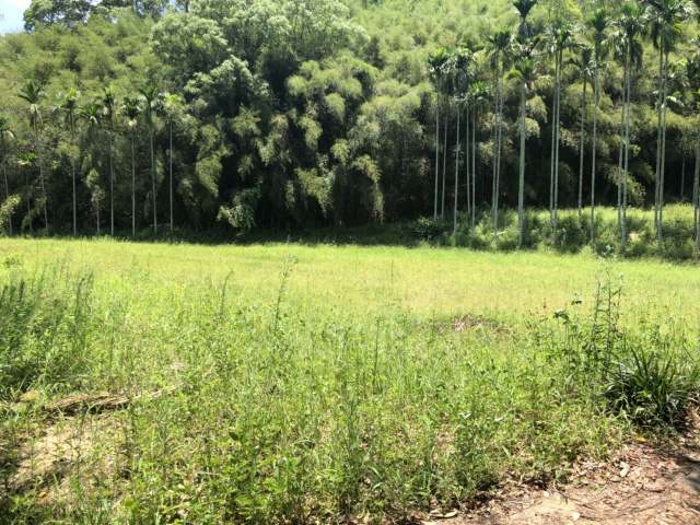 造橋休閒農牧用地+建地*-*頭份成交快房屋