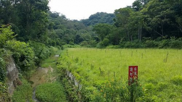 南庄員林休閒美地^~^單價低、漂亮